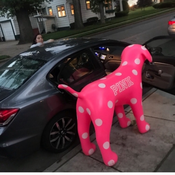 Major ISO: Store Display dogs - Picture 3 of 3